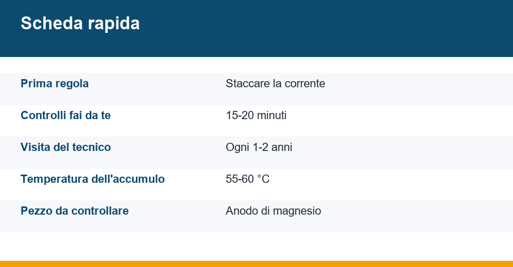 manutenzione scaldabagno elettrico — infografica