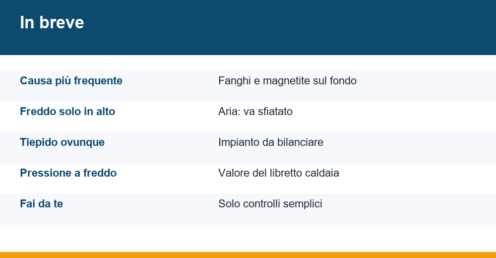 termosifone freddo sotto — infografica